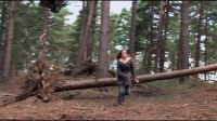 8E912DE2_HP7_ABC_FAMILY_INTERSTITIAL_FOREST_RUN_1080_288.jpg