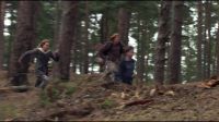 8E912DE2_HP7_ABC_FAMILY_INTERSTITIAL_FOREST_RUN_1080_319.jpg