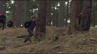 8E912DE2_HP7_ABC_FAMILY_INTERSTITIAL_FOREST_RUN_1080_354.jpg