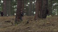 8E912DE2_HP7_ABC_FAMILY_INTERSTITIAL_FOREST_RUN_1080_356.jpg