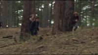 8E912DE2_HP7_ABC_FAMILY_INTERSTITIAL_FOREST_RUN_1080_357.jpg