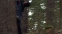 8E912DE2_HP7_ABC_FAMILY_INTERSTITIAL_FOREST_RUN_1080_433.jpg