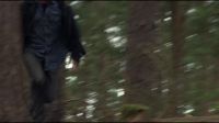 8E912DE2_HP7_ABC_FAMILY_INTERSTITIAL_FOREST_RUN_1080_434.jpg