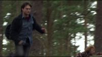 8E912DE2_HP7_ABC_FAMILY_INTERSTITIAL_FOREST_RUN_1080_437.jpg