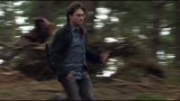 8E912DE2_HP7_ABC_FAMILY_INTERSTITIAL_FOREST_RUN_1080_445.jpg