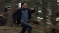 8E912DE2_HP7_ABC_FAMILY_INTERSTITIAL_FOREST_RUN_1080_446.jpg