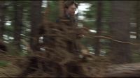 8E912DE2_HP7_ABC_FAMILY_INTERSTITIAL_FOREST_RUN_1080_449.jpg