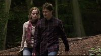 8F7D478E_HP7_ABC_FAMILY_INTERSTITIAL_ON_THE_RUN_1080_060.jpg
