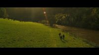8F7D478E_HP7_ABC_FAMILY_INTERSTITIAL_ON_THE_RUN_1080_096.jpg