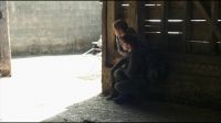 8F7D478E_HP7_ABC_FAMILY_INTERSTITIAL_ON_THE_RUN_1080_238.jpg