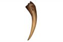 Basilisk-Tooth_1400b.jpg