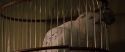 CS-Potterish_00092.jpg