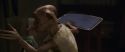 CS-Potterish_00290.jpg