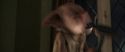 CS-Potterish_00377.jpg