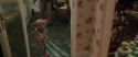 CS-Potterish_00474.jpg