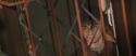 CS-Potterish_00554.jpg