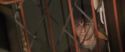 CS-Potterish_00555.jpg