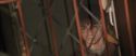 CS-Potterish_00556.jpg