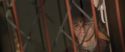 CS-Potterish_00557.jpg