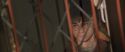 CS-Potterish_00558.jpg