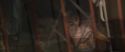 CS-Potterish_00560.jpg