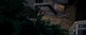 CS-Potterish_00643.jpg