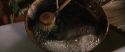 CS-Potterish_00759.jpg