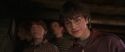 CS-Potterish_00790.jpg