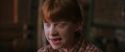 CS-Potterish_00866.jpg