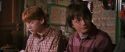 CS-Potterish_00916.jpg