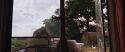 CS-Potterish_00934.jpg