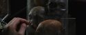 CS-Potterish_01086.jpg