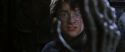 CS-Potterish_01112.jpg