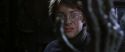 CS-Potterish_01113.jpg