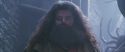CS-Potterish_01156.jpg