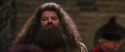 CS-Potterish_01187.jpg