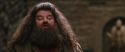 CS-Potterish_01188.jpg