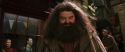 CS-Potterish_01203.jpg
