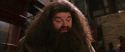 CS-Potterish_01222.jpg