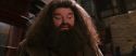 CS-Potterish_01223.jpg