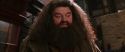 CS-Potterish_01224.jpg