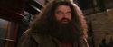 CS-Potterish_01225.jpg