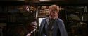 CS-Potterish_01255.jpg