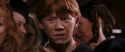 CS-Potterish_01302.jpg