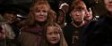 CS-Potterish_01318.jpg