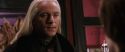 CS-Potterish_01372.jpg