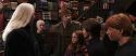 CS-Potterish_01454.jpg