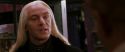 CS-Potterish_01488.jpg