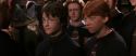 CS-Potterish_01521.jpg