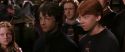 CS-Potterish_01522.jpg